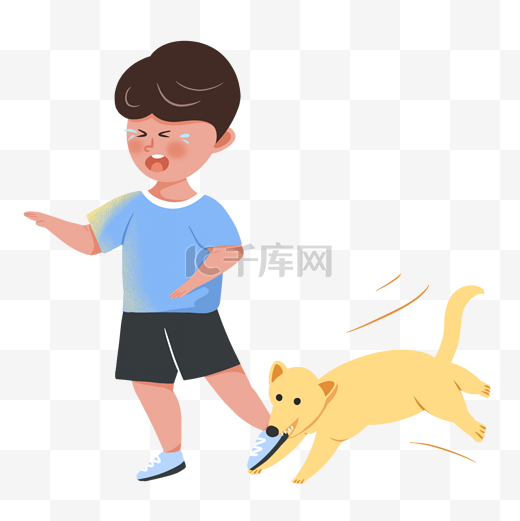 狂犬病狗咬人图片