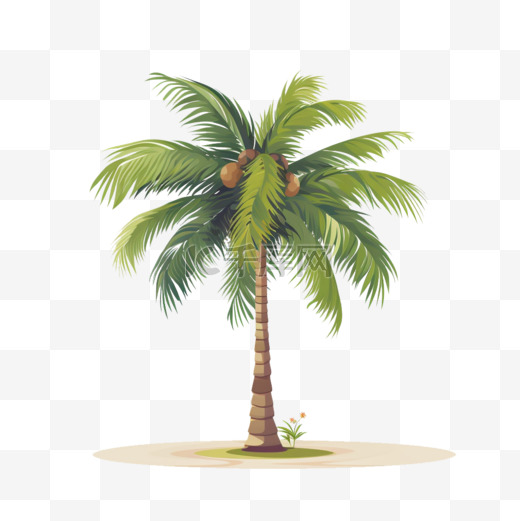 扁平风夏季椰子椰树卡通免扣手绘生活用品图片