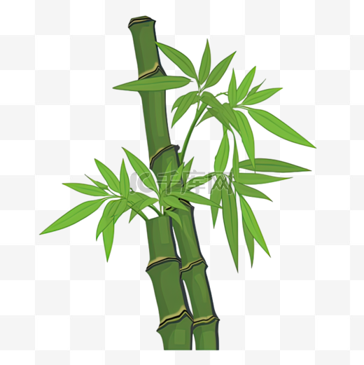 卡通手绘绿竹竹子图片
