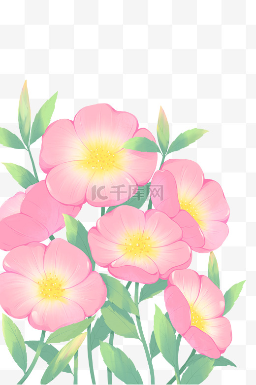 春季春天粉色花朵植物花草叶子装饰卡通手绘花卉图片