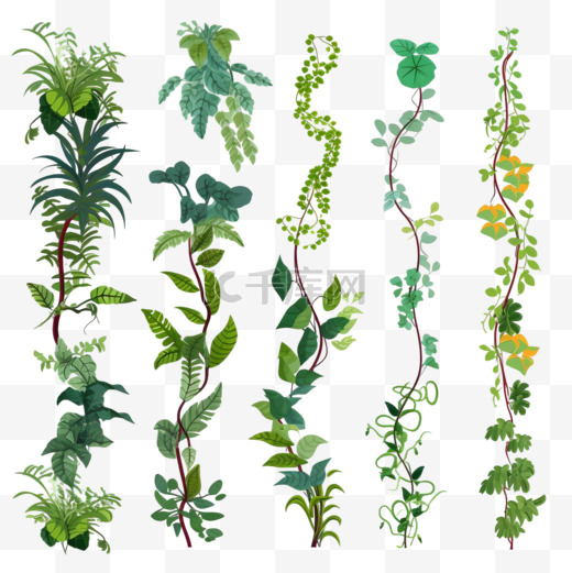 彩色藤本植物或丛林植物平面设置的网页设计。卡通爬枝热带藤本植物和树木孤立的载体插图收藏。雨林、绿色植物和植被概念图片