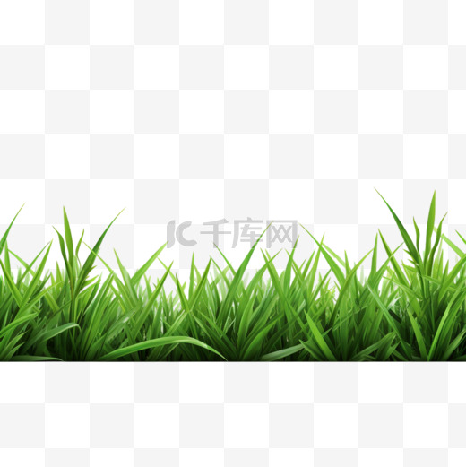 草的边界写实风格图片