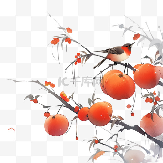 白霜柿子霜降小鸟国画手绘元素图片