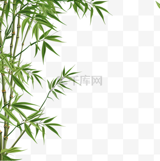矢量竹子竹叶绿色植物4图片