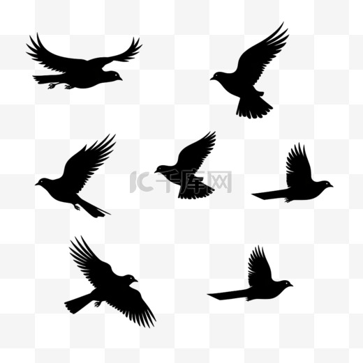 一群飞翔的鸟儿。飞鸟剪影、孤立的黑鸽或海鸥收藏图片