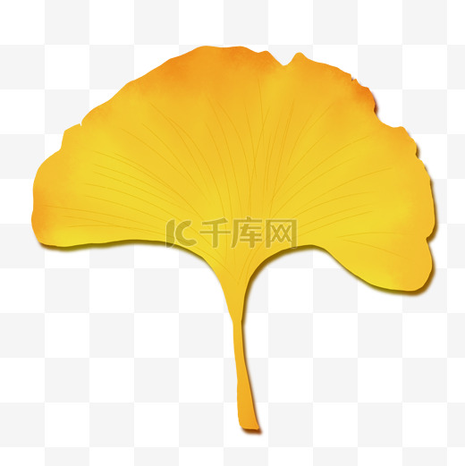 金秋黄叶银杏叶水彩叶子秋分节气植物图片