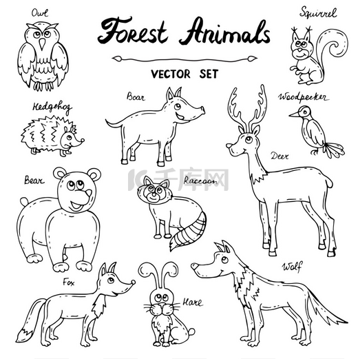 以森林动物为主题的手工绘制的孤立涂鸦的矢量集图片