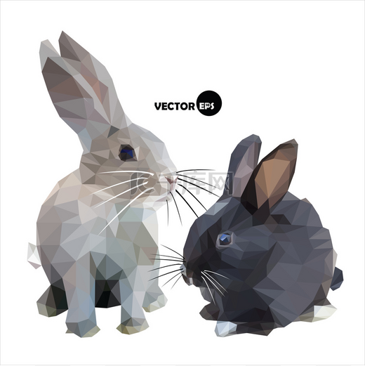 野兔和兔子黑白隔离在白色背景上.图片