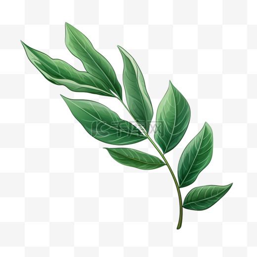 纹理嫩绿树叶元素立体免抠图案图片