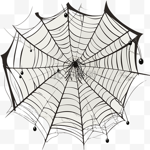 蜘蛛网剪贴画蜘蛛网隔离在白色与黑色蜘蛛和蜘蛛网卡通 向量图片
