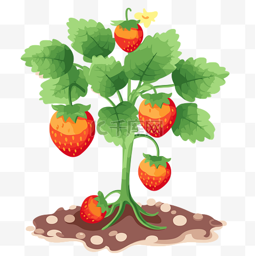 草莓植物剪贴画可爱草莓植物png卡通 向量图片