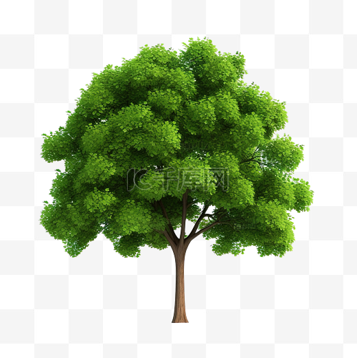 3d 孤立的绿树图片
