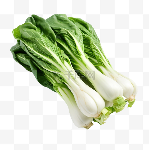 蔬菜小白菜图片