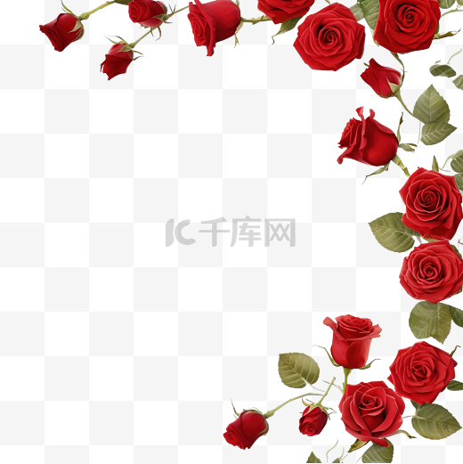 美丽多彩的红玫瑰花框图片