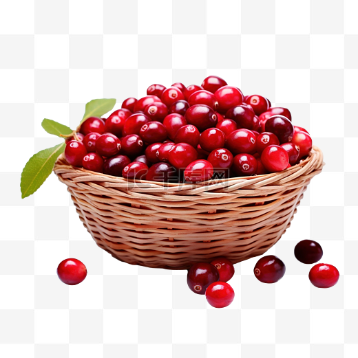 篮子里装着多汁的红蔓越莓图片