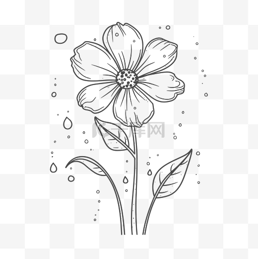 线条画的花朵与水滴轮廓素描 向量图片