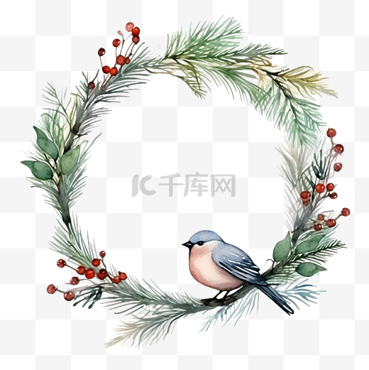 框架与冷杉树枝植物和鸟类圣诞装饰手绘矢量水彩图片