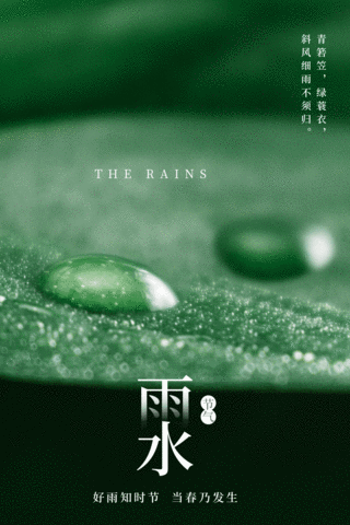 雨水露珠树叶中国传统二十四节气竖版海报动图gif