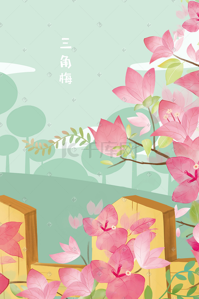 三角梅花卉手绘插画图片