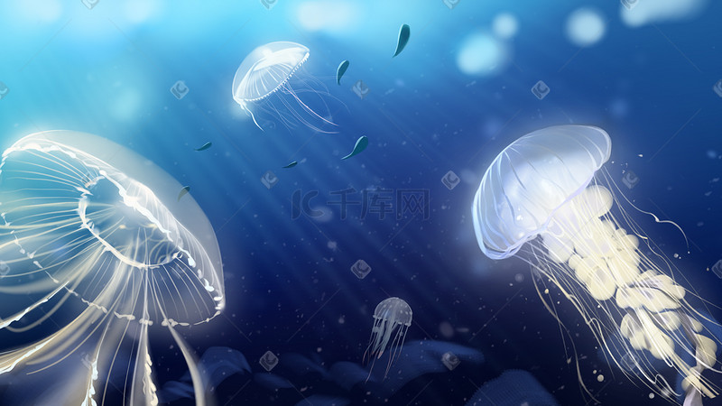 蓝色海洋透明水母深海插画图片