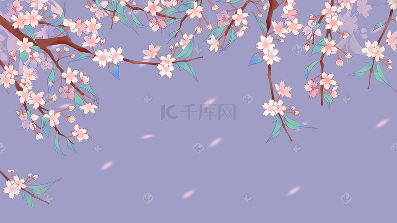 樱花节桃花节春季公园花卉风景图片