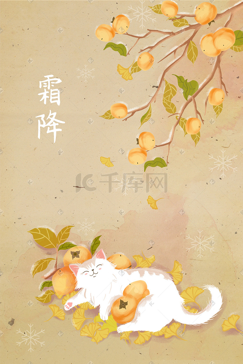 中国风霜降秋天秋季风景背景猫咪与柿子图片