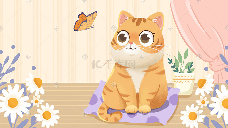 橙色系唯美治愈小猫橘猫蝴蝶鲜花背景图片