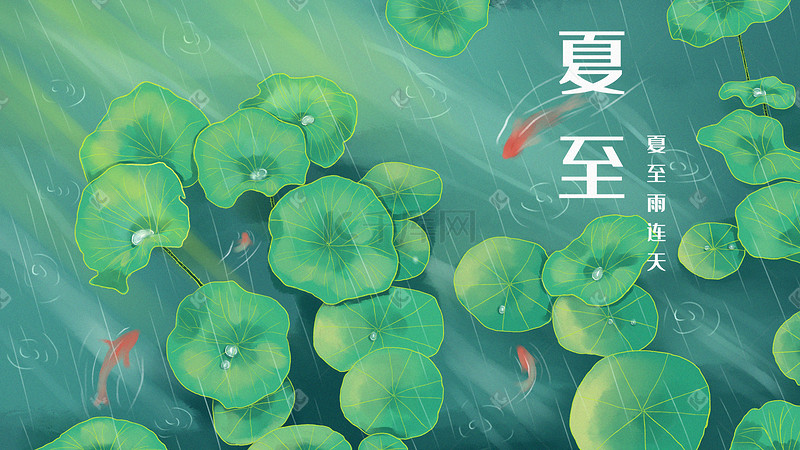 夏至下雨荷塘荷叶游鱼节气插画图片