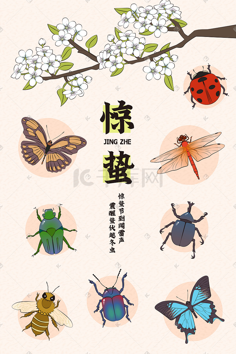 二十四节气惊蛰春天梨花昆虫图片