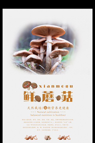 真菌海报模板_极简风新鲜蘑菇宣传海报