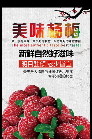 熊猫基地海报模板_中国风美味杨梅海报