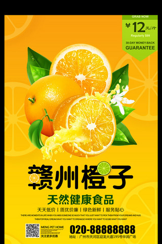 橙色水果赣州橙子海报
