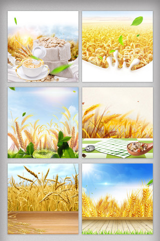 淘宝大米小麦粮食主图背景
