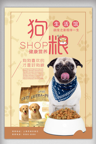 粮宠物用品海报模板_宠物用品开业狗粮促销海报宠物店广告