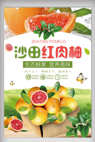 肉展板海报模板_沙田红肉柚海报设计.psd