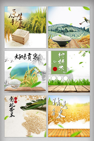 公章psd分层海报模板_天猫淘宝大米粮食主食促销主图背景