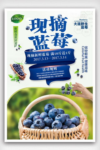 蔬菜水果海报模板_简约大气蓝莓水果海报.psd