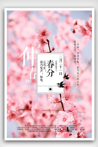 粉色桃花春分节气海报