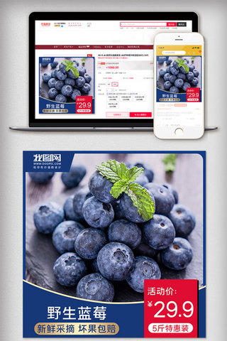水果夏季促销海报模板_蓝色蓝莓水果通用促销主图