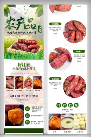 淘宝详情淘宝模板海报模板_2021年绿色农产品红薯淘宝详情页模板