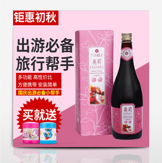 粉色果酒果酱出游必备淘宝主图