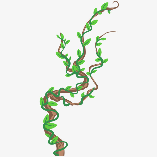 绿色树藤枝藤素材图片免费下载_高清psd