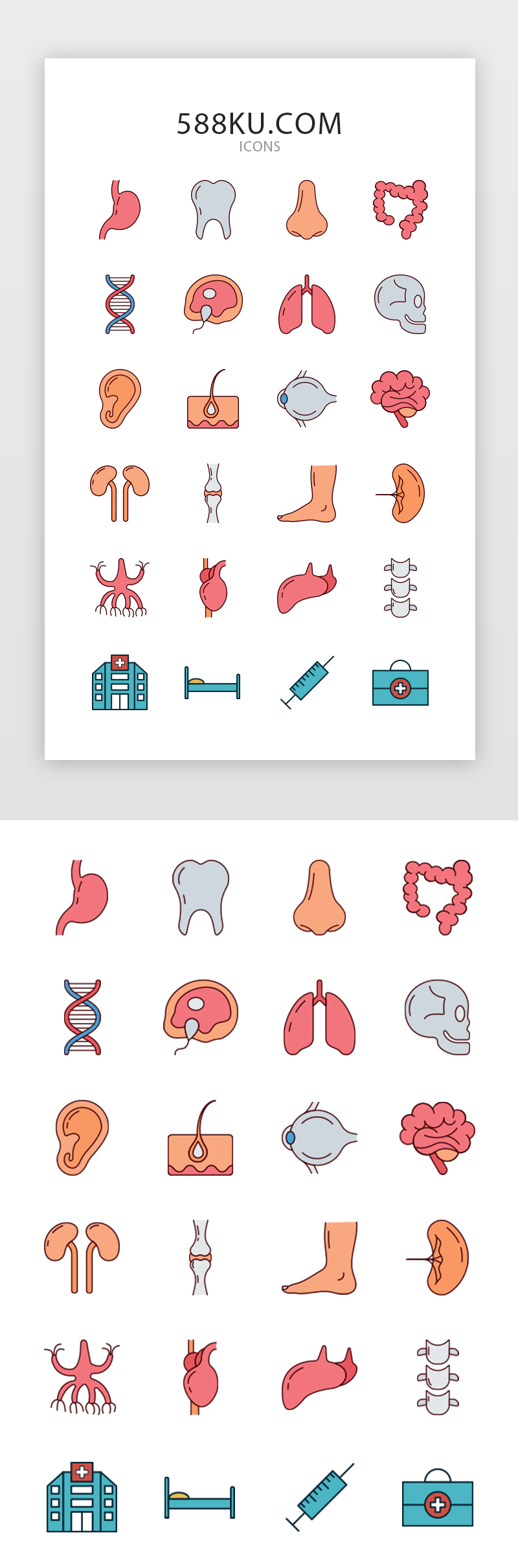 扁平医疗人体器官图标图片