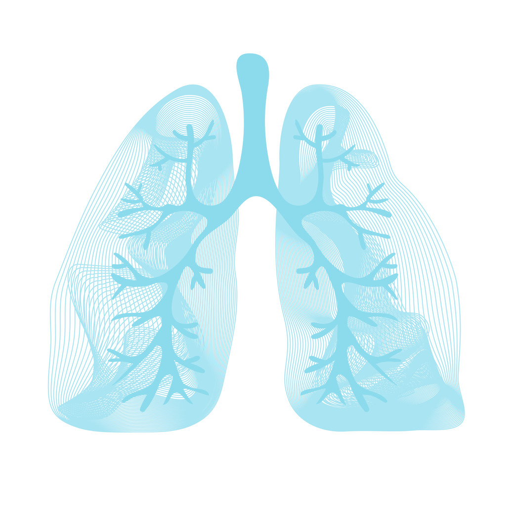 Lungs symbol. Breathing. Lunge exercise. Lung cancer (asthma, tuberculosis, pneumonia). Respiratory system. World Tuberculosis Day. World Pneumonia Day. Health care图片