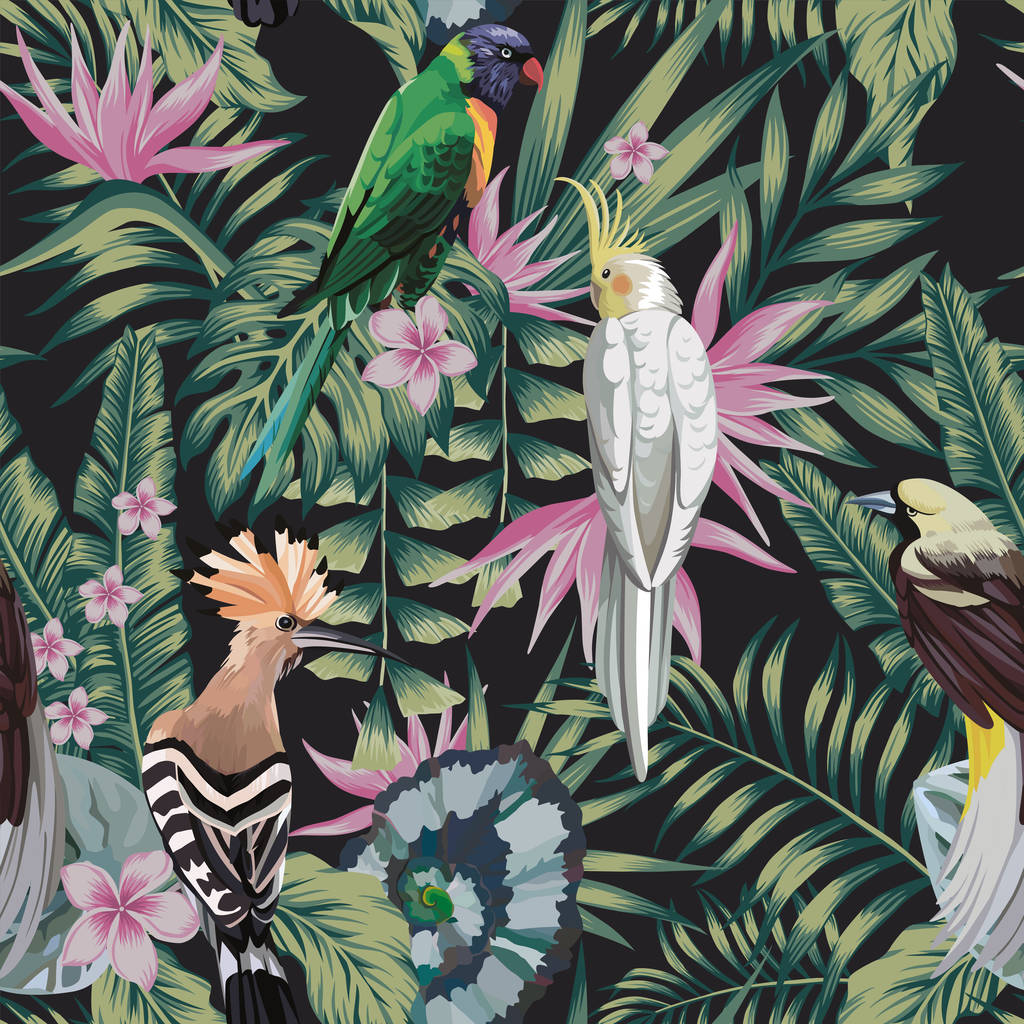热带鸟类鹦鹉, 黄鸟, 植物叶子花弗兰基帕尼 (皮草) 抽象颜色黑色的背景。无缝矢量模式图片