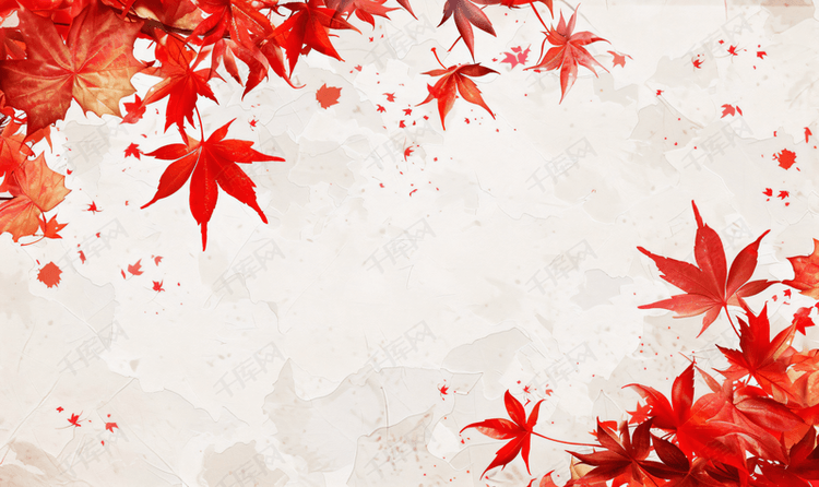 秋天的枫叶枫叶红了