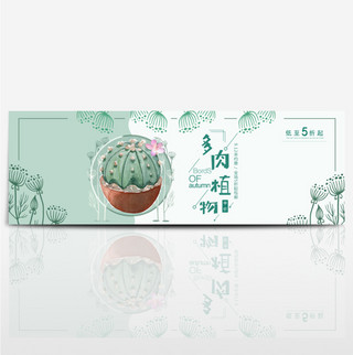 绿色文艺小清新多肉植物淘宝banner电商海报