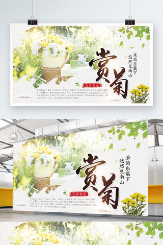 菊海报模板_白色简约赏菊九月九节日宣传展板