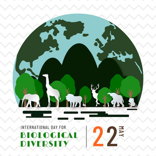 生物多样性海报模板_几何线条创意简约国际生物多样性日媒体社交模板