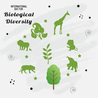 简约创意高端白色国际生物多样性日媒体社交模板